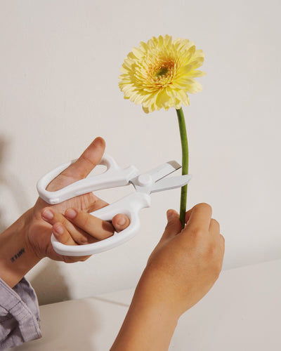 Floral Shears